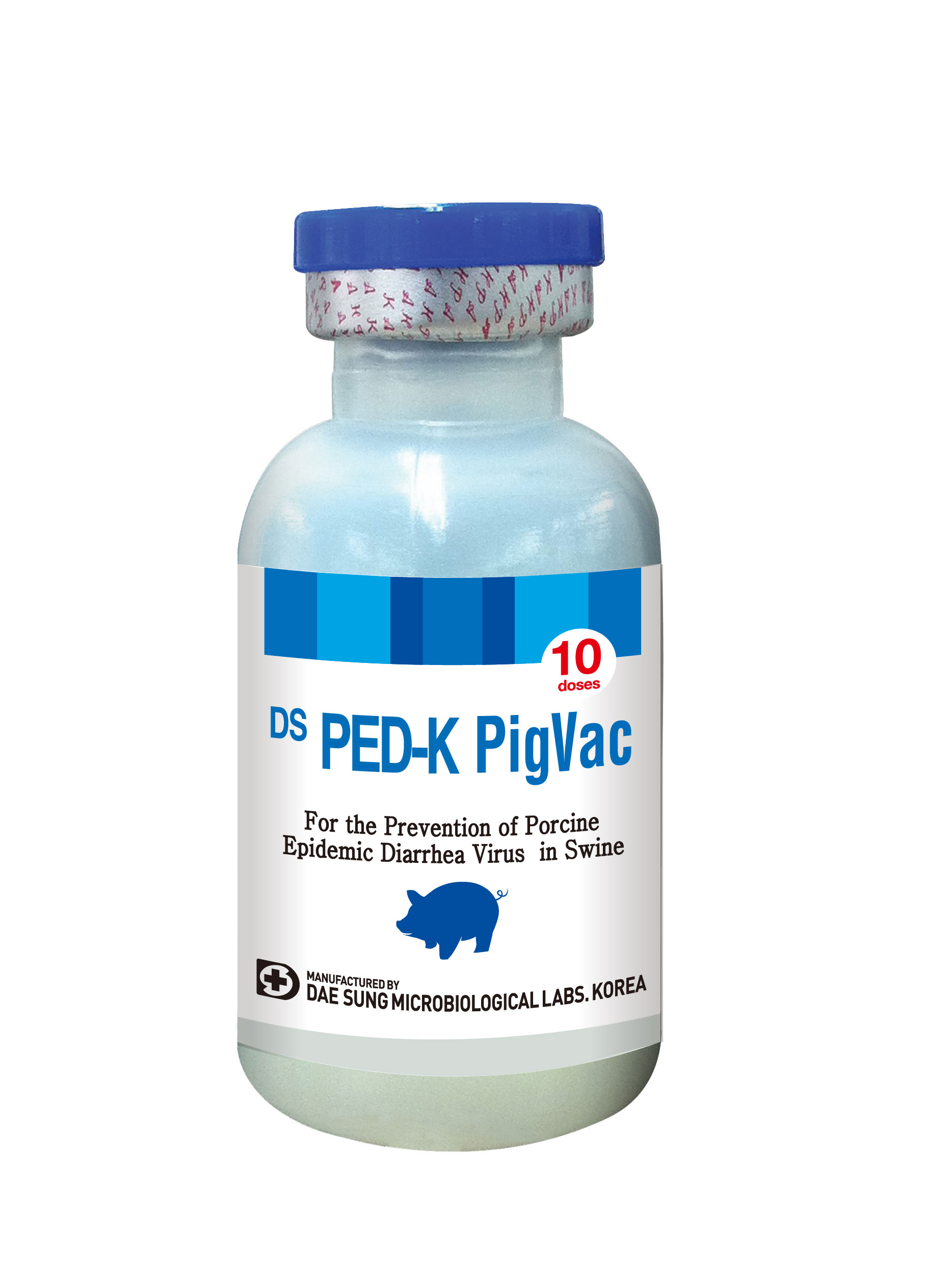 DS PED-K PigVac