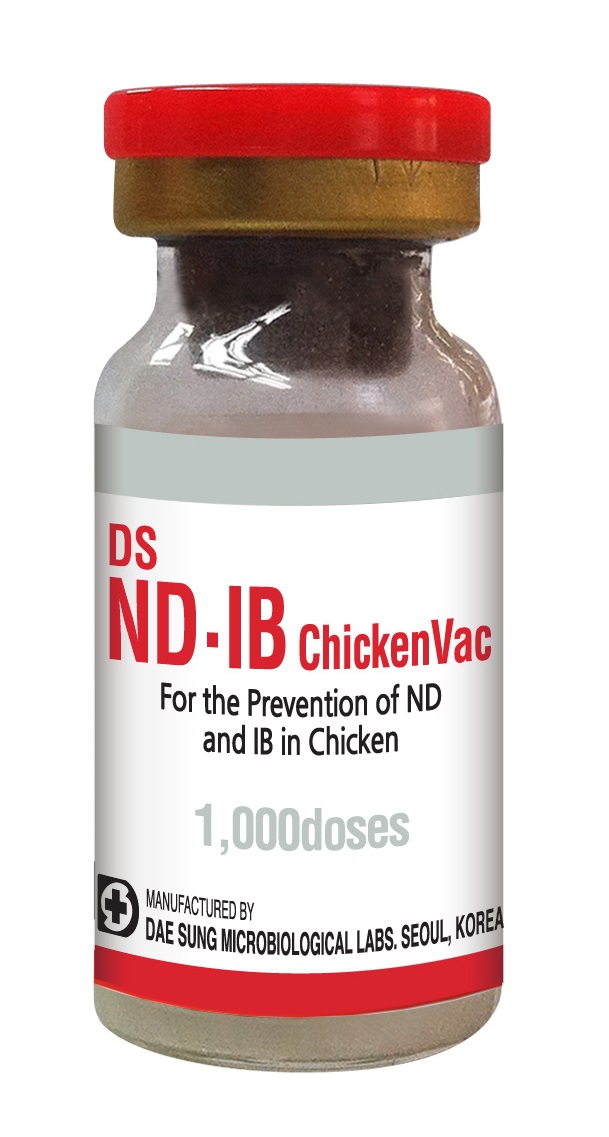 DS ND – IB Chicken Vac.