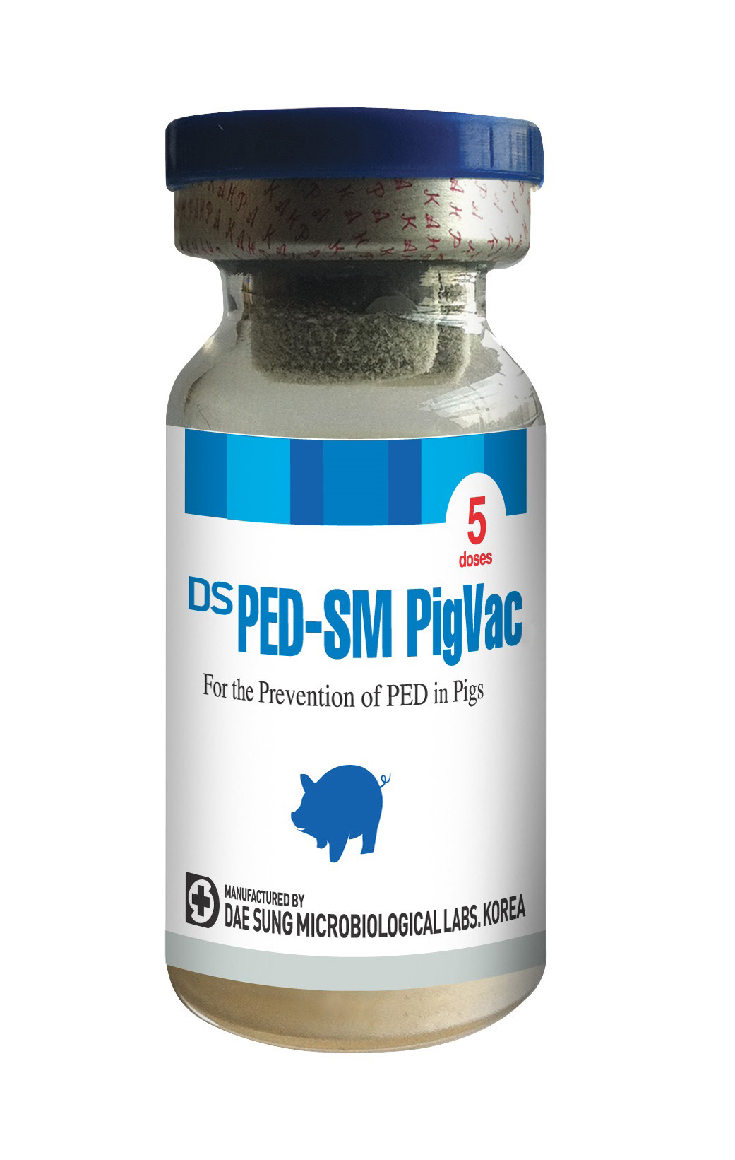 DS PED-SM PigVac